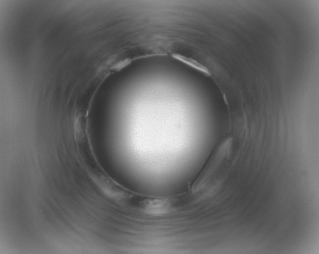 X0000082170088200702021738