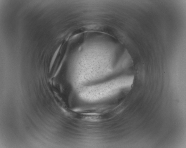 X0000082170089200702021738