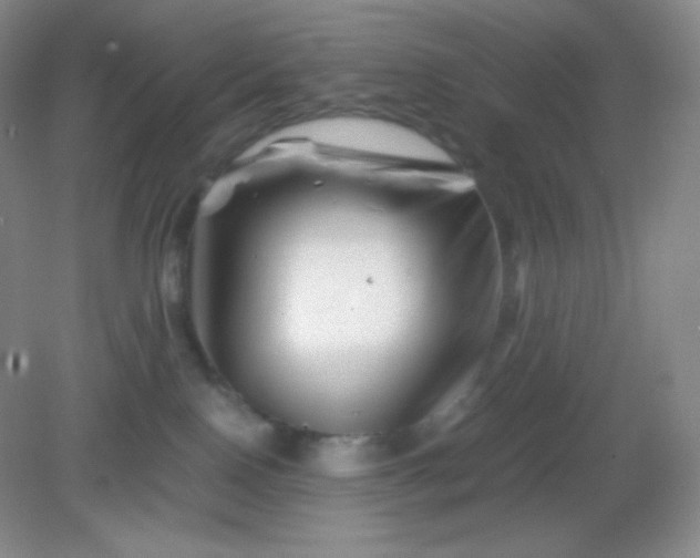 X0000082170090200702021738