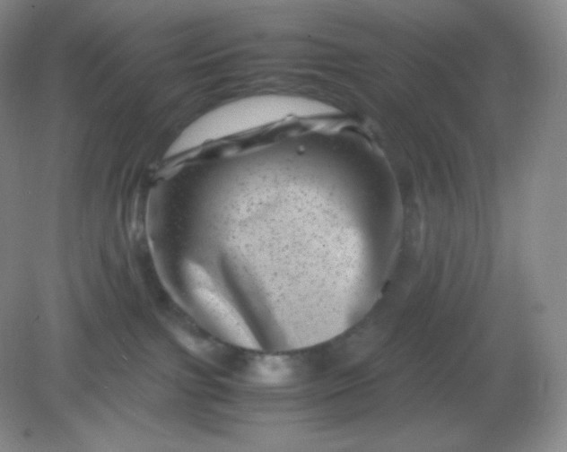 X0000082170091200702021738