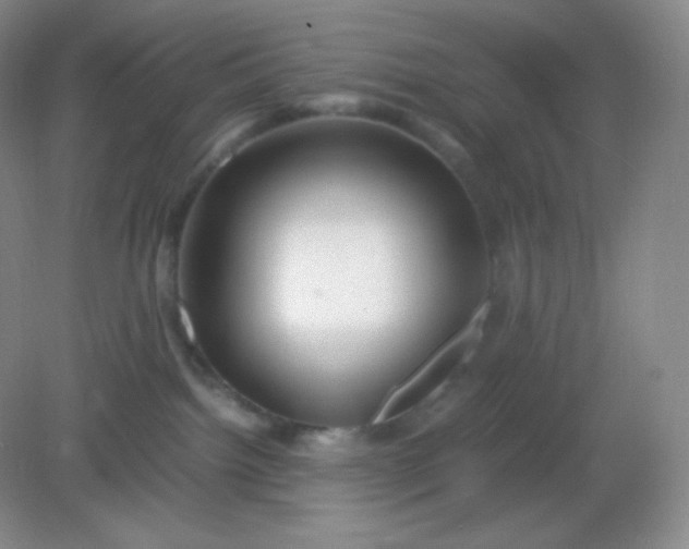 X0000082170092200702021738