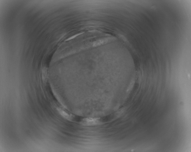 X0000082170093200702021738