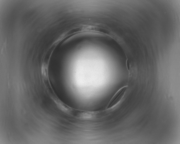 X0000082170094200702021738