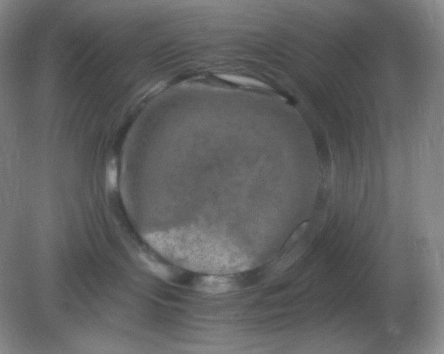 X0000082170095200702021738