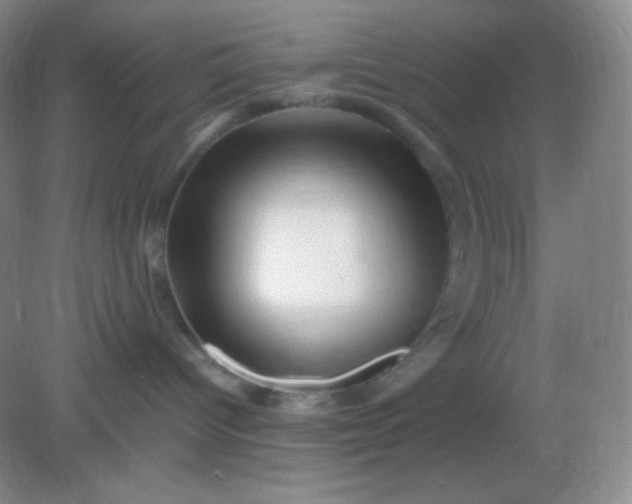 X0000082170096200702021738