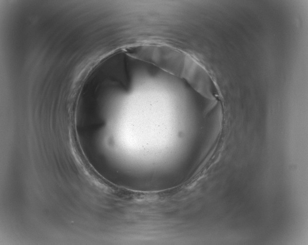 X0000082170097200702021737