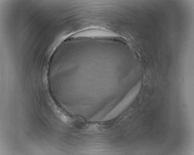 X0000082170098200702021737