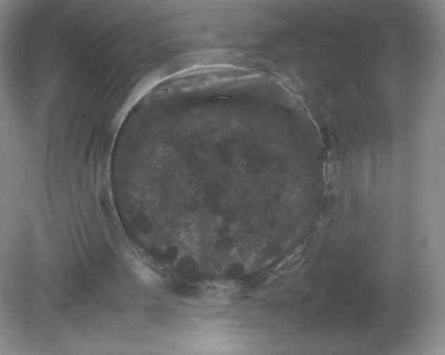 X0000082170099200702021737