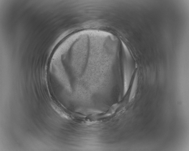 X0000082170100200702021737