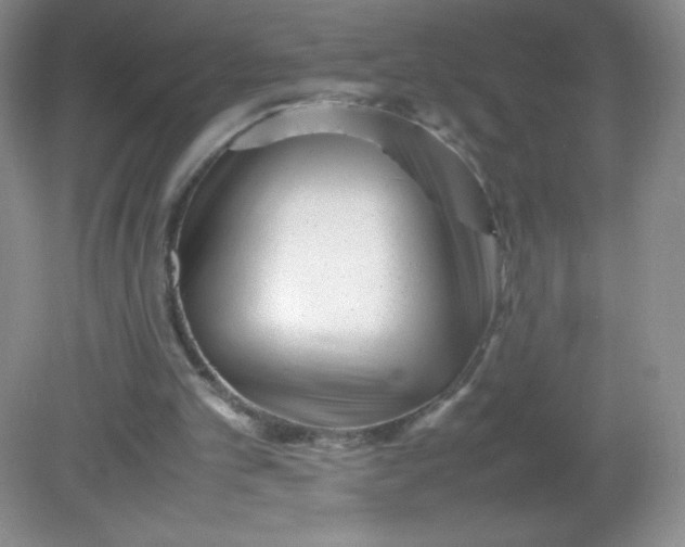 X0000082170101200702021737