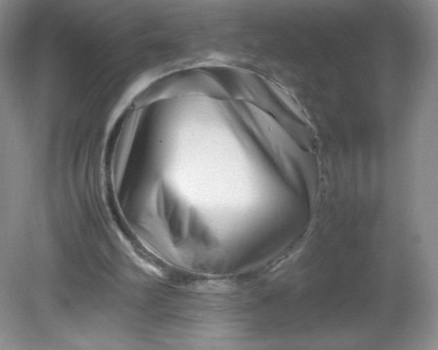 X0000082170102200702021737