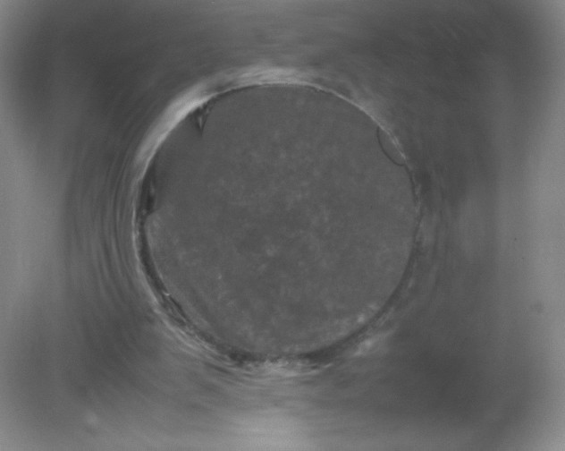 X0000082170103200702021737