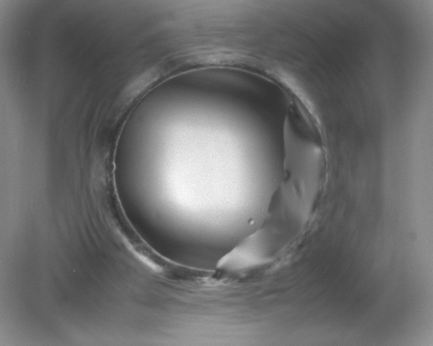 X0000082170105200702021737