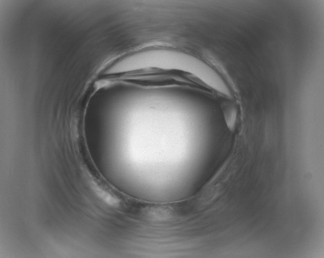 X0000082170106200702021737