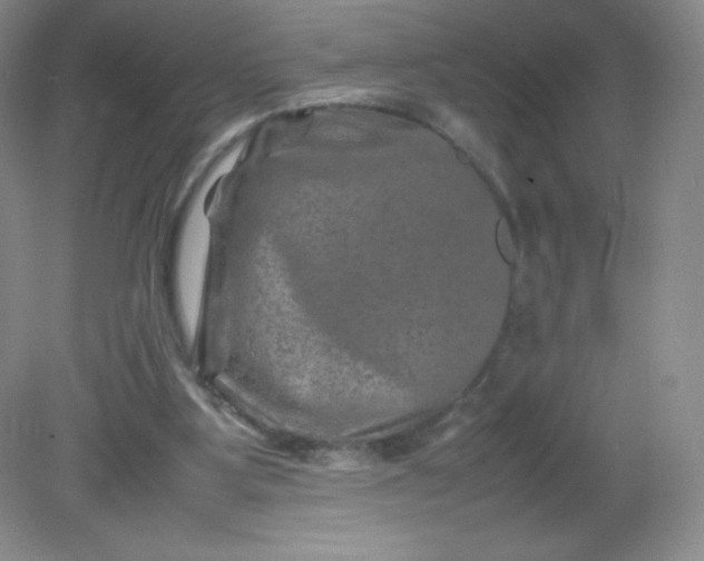 X0000082170107200702021737