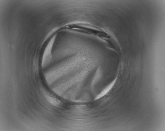 X0000082170108200702021737