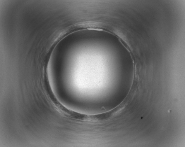 X0000082170109200702021737