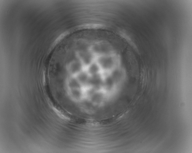 X0000082170110200702021737