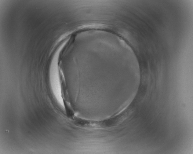 X0000082170111200702021737