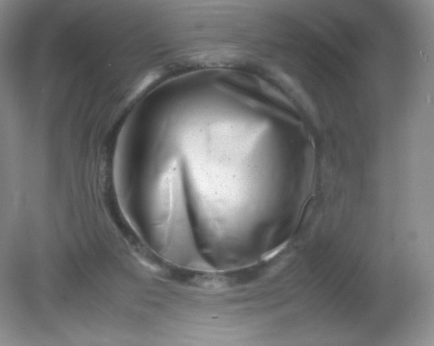 X0000082170113200702021737