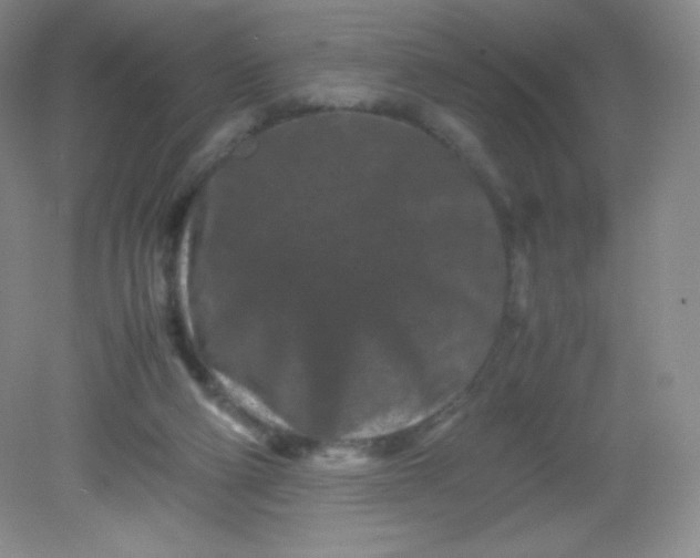 X0000082170114200702021737