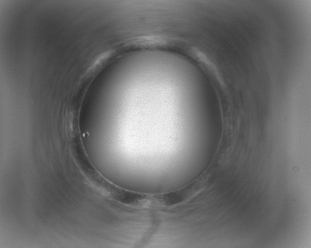 X0000082170115200702021737