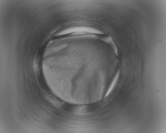 X0000082170116200702021737