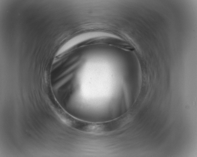 X0000082170117200702021737