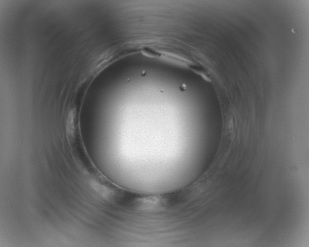 X0000082170118200702021737