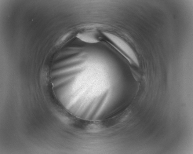 X0000082170119200702021736