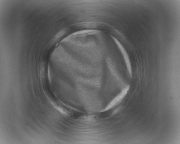 X0000082170120200702021736