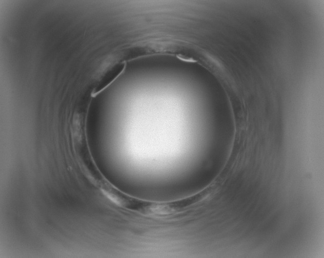 X0000082170121200702021736