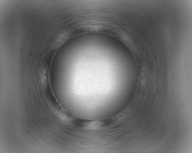 X0000082170122200702021736