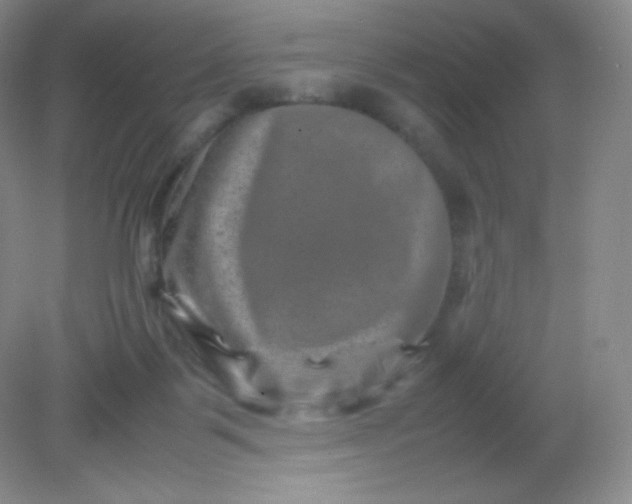 X0000082170123200702021736