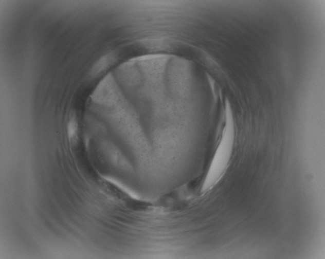 X0000082170124200702021736