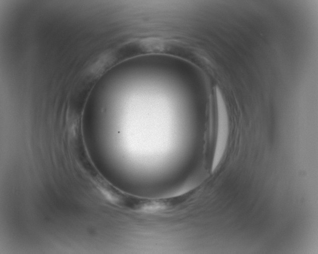 X0000082170125200702021736