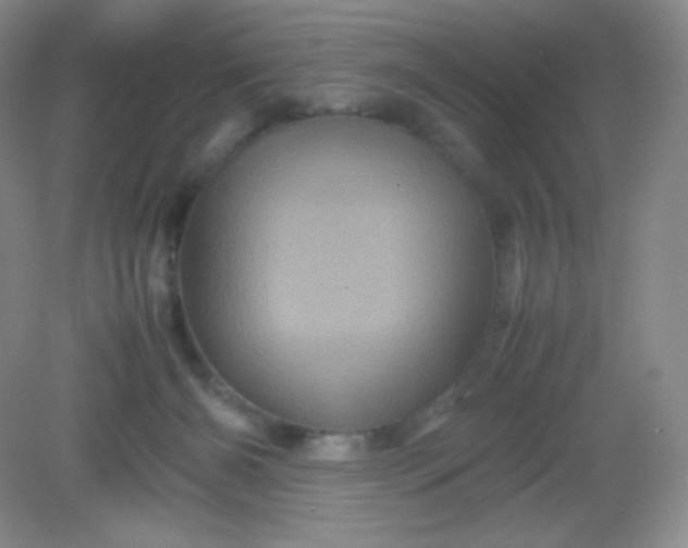 X0000082170126200702021736