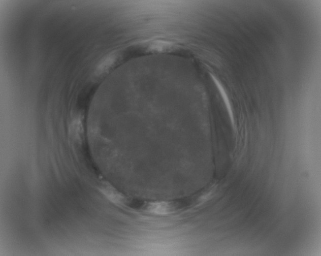 X0000082170127200702021736