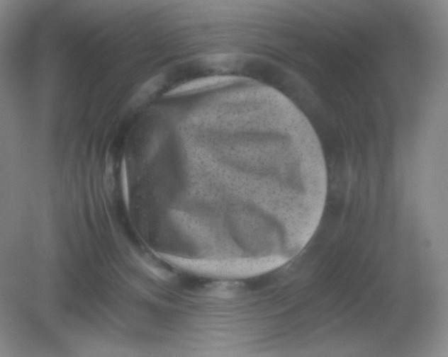 X0000082170128200702021736