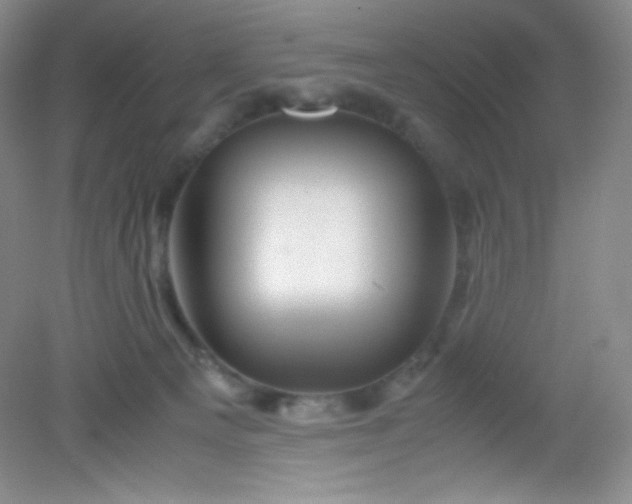 X0000082170129200702021736