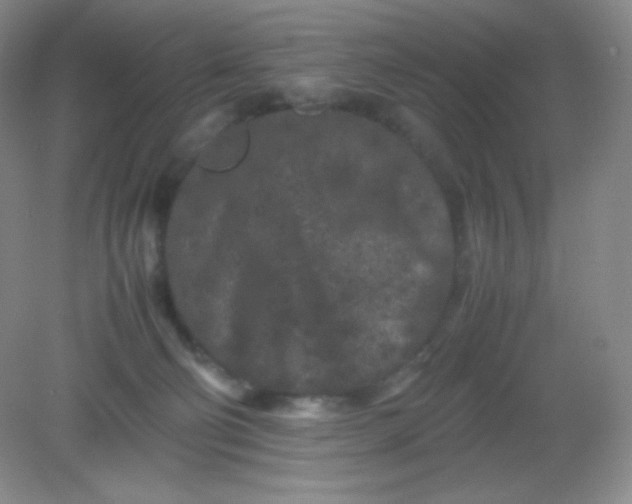 X0000082170130200702021736