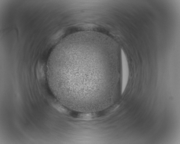 X0000082170131200702021736