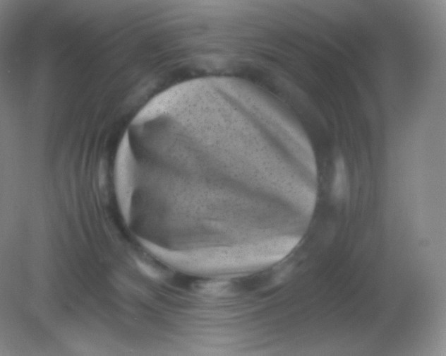 X0000082170132200702021736