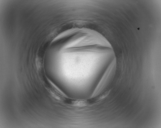 X0000082170135200702021736