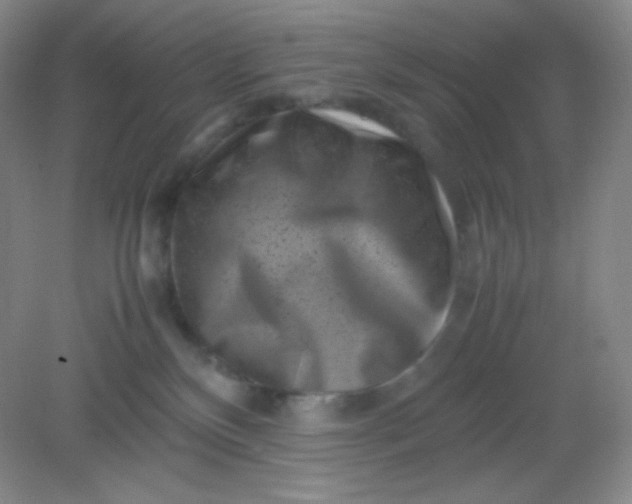 X0000082170136200702021736