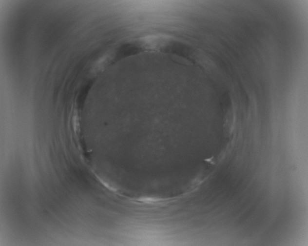 X0000082170137200702021736