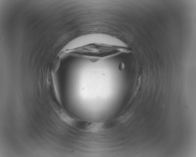 X0000082170138200702021736