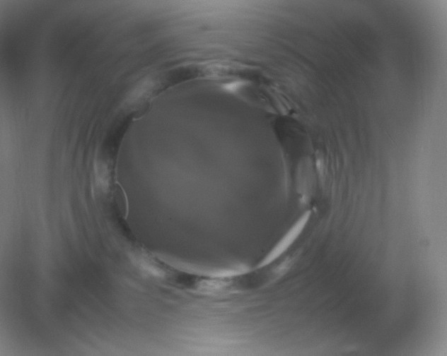 X0000082170139200702021736