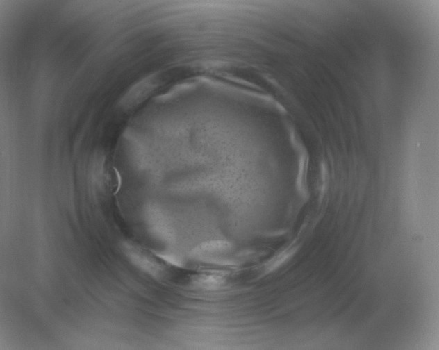 X0000082170140200702021736