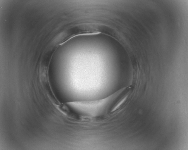 X0000082170141200702021736